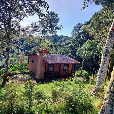 Las Bromelias Lodge Paso Macho Dış mekan fotoğraf