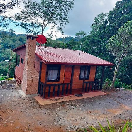 Las Bromelias Lodge Paso Macho Dış mekan fotoğraf