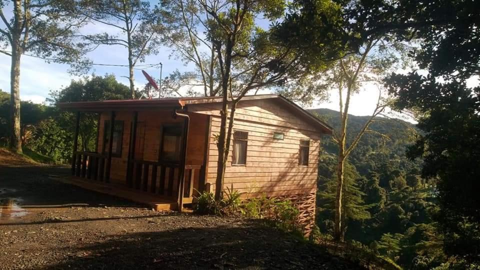 Las Bromelias Lodge Paso Macho Dış mekan fotoğraf