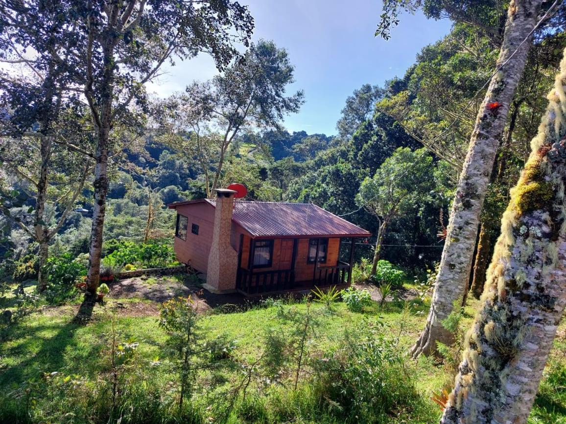 Las Bromelias Lodge Paso Macho Dış mekan fotoğraf