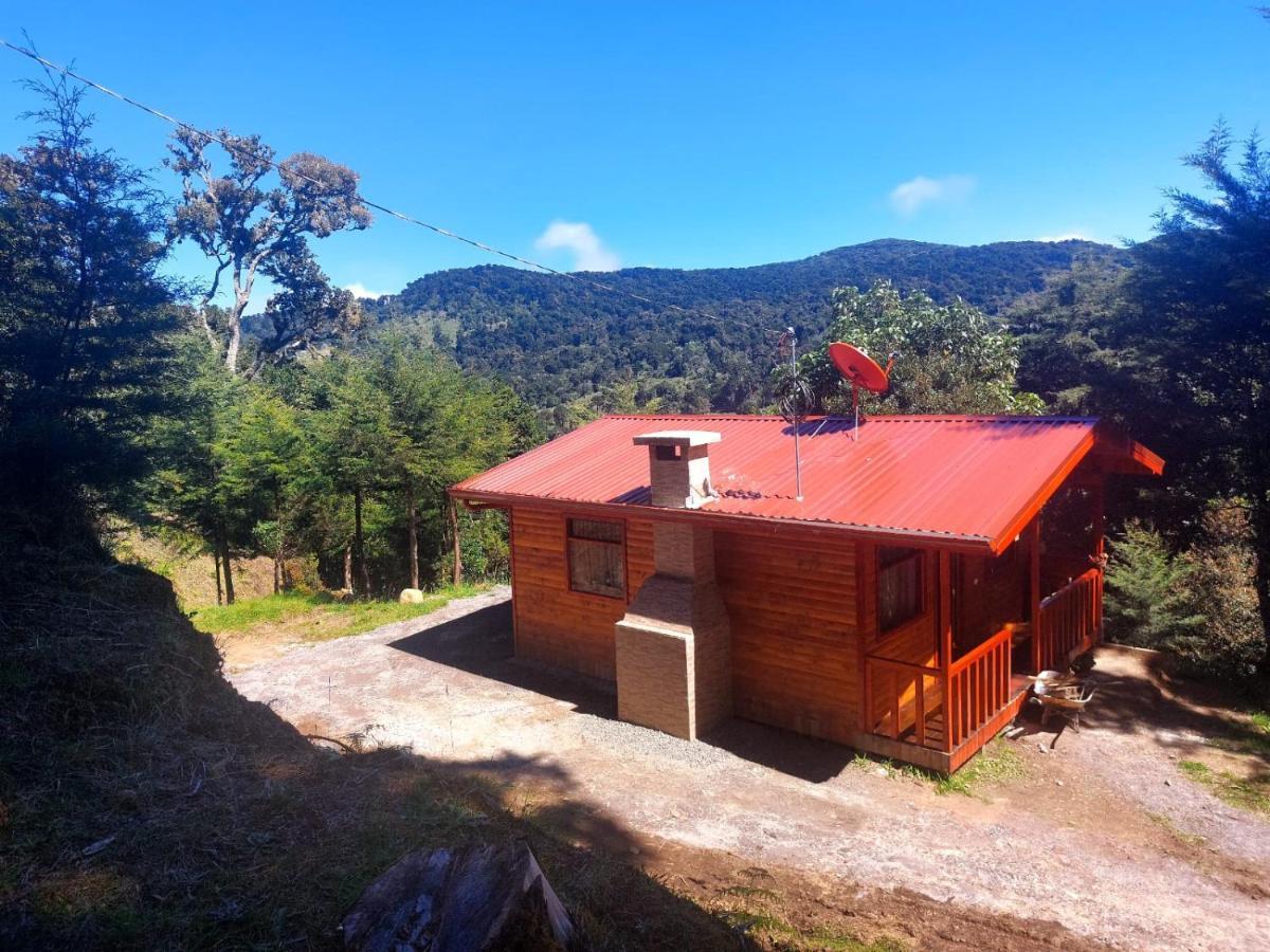 Las Bromelias Lodge Paso Macho Dış mekan fotoğraf
